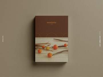 [구매 가능] mandarine