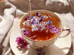 오필리아 성장 전 프로필