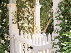 [미소녀님 커미션 신청]