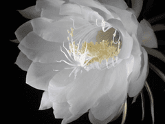 의다살 연성모음 4