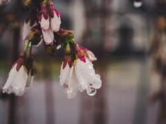 [슙진] 내가 죽겠어요