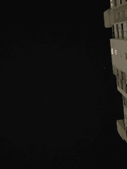 새우등 청년과 고양이