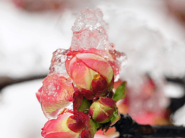 아이소 최종인포