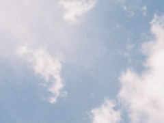 20세기 뱀파이어와의 대화