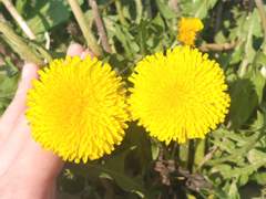 [서브마스] 아름다운 추억이었네요.