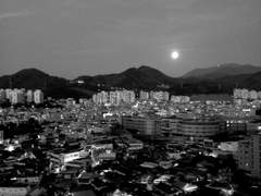 [린니키린] color-blined