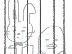 킹받는 로맨스 Q&A