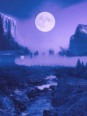 몽중몽(夢中夢)