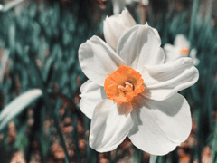 빗 속에 파묻힌(2)