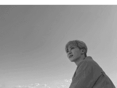 자작나무와 백일홍 上