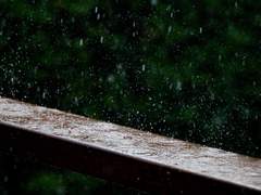 [수창도윤]소나기