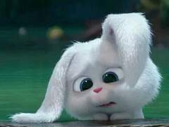 문제적 가이드_23