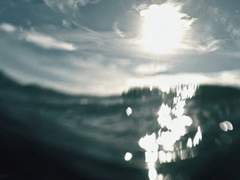 심해 녹취록 (上)