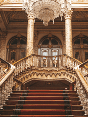 하렘인데 한 명만 바라보는 이야기