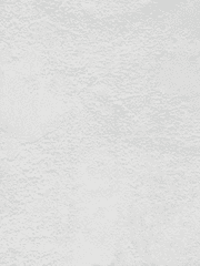 1 - Fox on the Campus