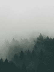 박허삼 시리즈(시대물)