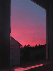 은혜 갚은 말미잘