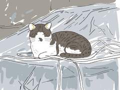 [길냥이 그리기 챌린지] 005 불편해 보이는 녀석