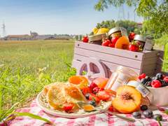 시고르 청춘 (1)