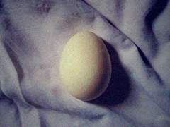 [금영영인] 내 사랑에게