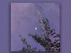 첫날 밤에 단 꿈에 젖어