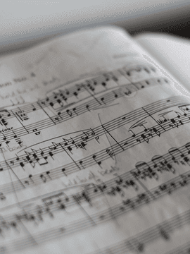 동요 100곡 작사