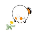 빛동가리의 수첩