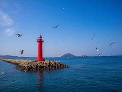 [이제노] 하도리 동동 3