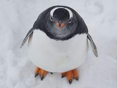 엔시티 막내 여주 ssul #5