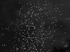 지옥에서도 빛나게 살아가는 당신을 위하여 (Q&A)