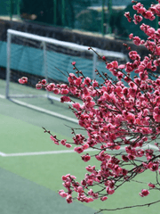 [화산귀환]고등학생은 청춘이다.