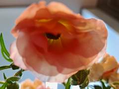 교수님과 나 : 05