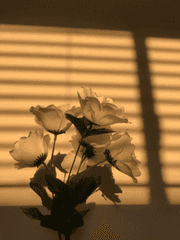 밤이 너를 빗겨갈 때