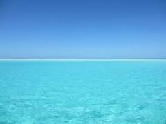 네가 내 자유야