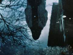 누구의 잘못도 아닌