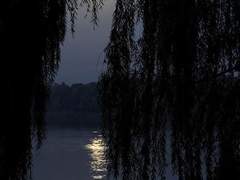 거두절미하고, 맥락 없이.