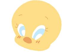 [투명포카 프레임] 슈위티