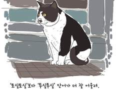 [길냥이 그리기 챌린지] 006 투실투실한 녀석