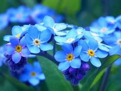 [아쿠카나] 너에게로의 시