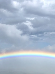 이진희도 Happy End