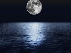 𝑫𝒂𝒊𝒏 𝑲𝒏𝒊𝒈𝒉𝒕 𝑯𝒐𝒘𝒂𝒓𝒅