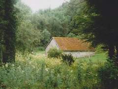 햇살을 배달하는 토끼