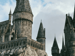 주노 브래비온 길버트(Juno Bravion Gilbert)