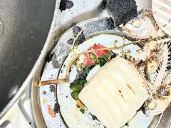 제 뇌가 왜 이런 모양으로 생겨먹었는지