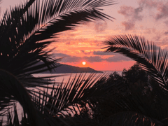 Lord give me One more chance*