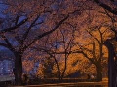 마음을 준다는 것은 下