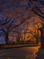 마음을 준다는 것은