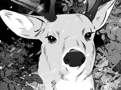 라스트 윈터 스토리 로그 中