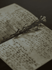 {바토리의 서가}