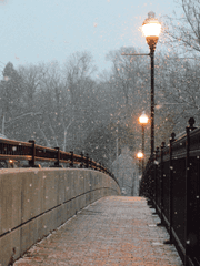 기억했던 나에게